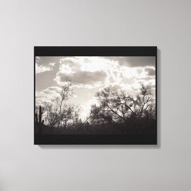 Brush Backlight Sonoran Desert B&W Photo Art Print (Front)