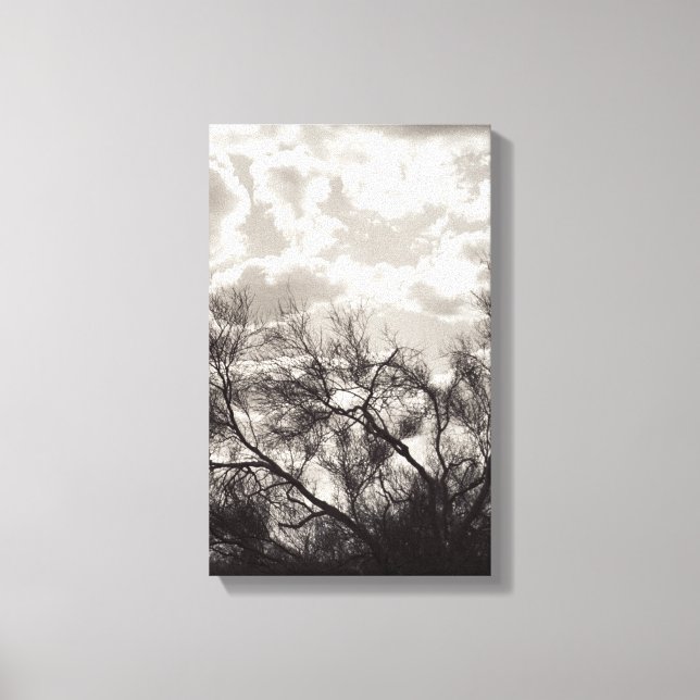 Brush Backlight Sonoran Desert B&W Photo Art Print (Front)