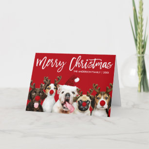 Brush Script Star Christmas Dogs Red Folded Holiday Card