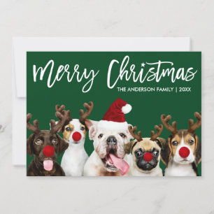 Brush Script Star Merry Christmas Dogs Green Holiday Card