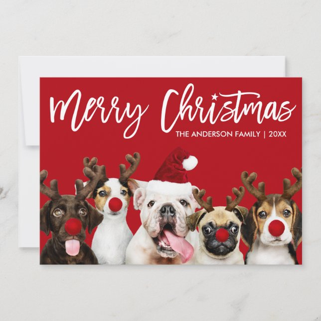 Brush Script Star Merry Christmas Dogs Red Holiday Card (Front)