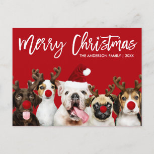 Brush Script Star Merry Christmas Dogs Red Postcard