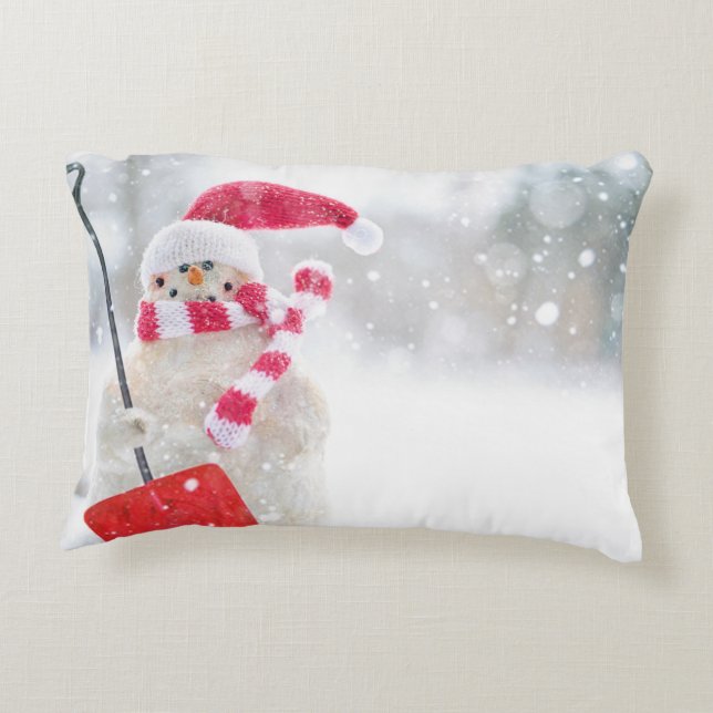Brushed Polyester Decorative Cushion (Back)