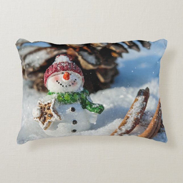 Brushed Polyester Decorative Cushion (Front)