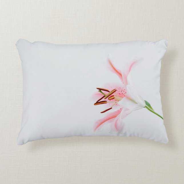 Brushed Polyester Decorative Cushion (Front)