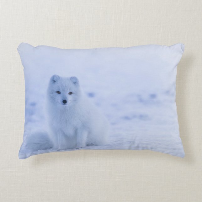 Brushed Polyester Decorative Cushion (Front)