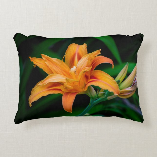 Brushed Polyester Decorative Cushion (Front)