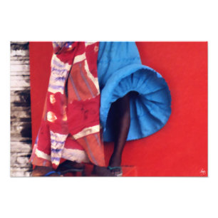 Brushstrokes On A Senegal Wind Photo Print