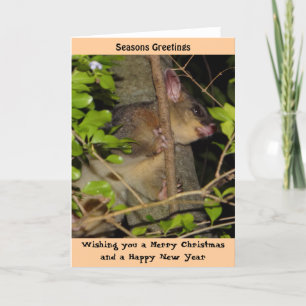Brushtail Possum Xmas Card