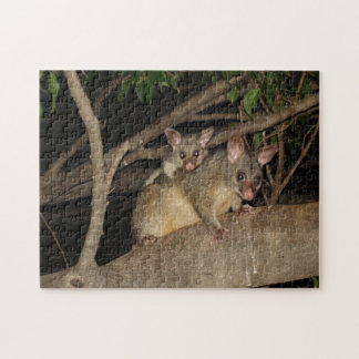 Brushtail Possums Jigsaw Puzzle