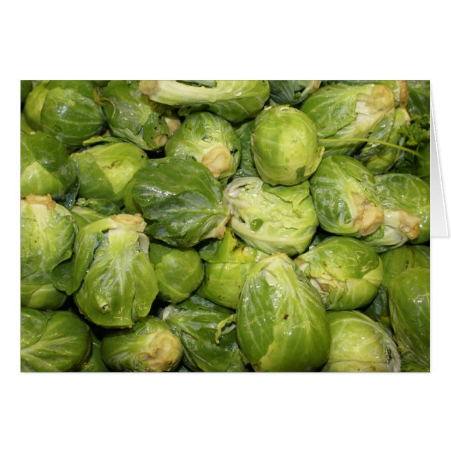 Brussel Sprouts (Front Horizontal)