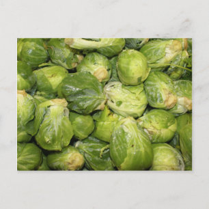 Brussel Sprouts Postcard