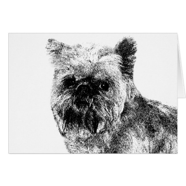 Brussels Griffon (Front Horizontal)