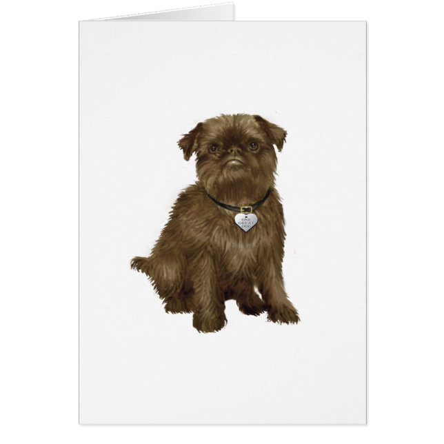 Brussels Griffon #2 (brown) (Front)