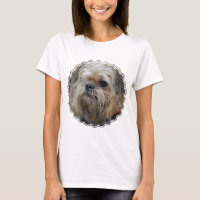 brussels-griffon-5.jpg