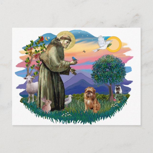 Brussels Griffon (brown/red) Postcard (Front)