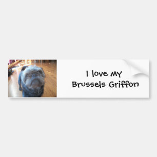 Brussels Griffon Bumper Sticker
