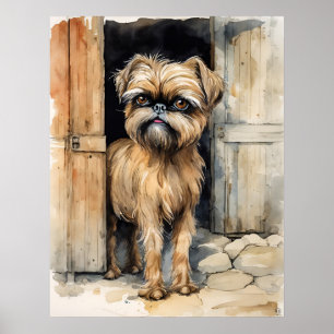 Brussels Griffon - Dog Art Print