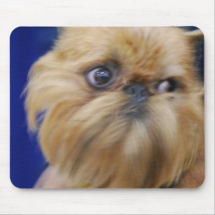 Brussels Griffon Dog Mouse Pad