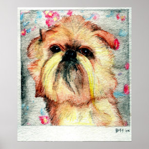 Brussels Griffon Dog Portrait Poster