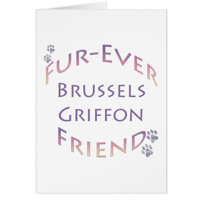 Brussels Griffon Furever (Front)