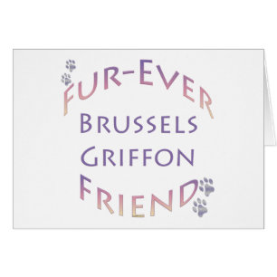 Brussels Griffon Furever
