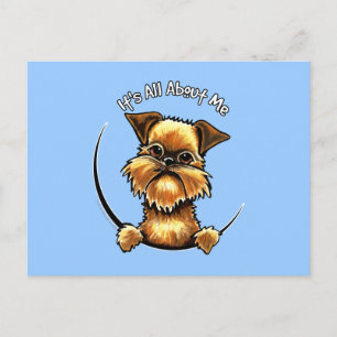 Brussels Griffon Its All About Me Postcard