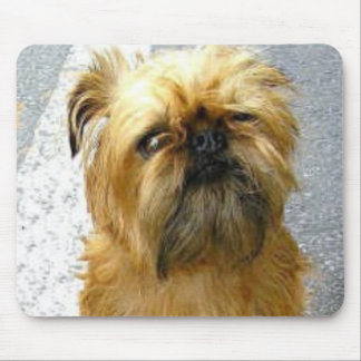 Brussels Griffon Mousepad
