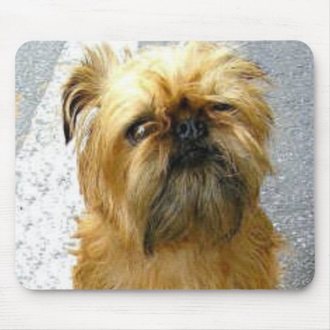 Brussels Griffon Mousepad (Front)