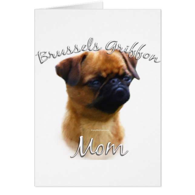 Brussels Griffon Mum 2 (Front)