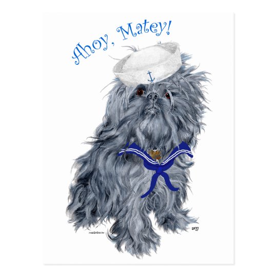 Brussels Griffon Sailor Postcard