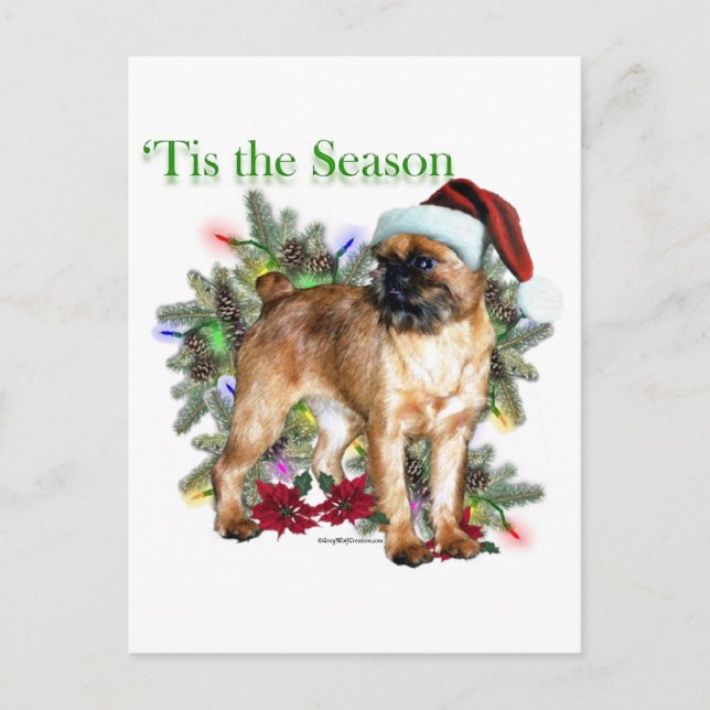 Brussels Griffon Tis the Season Postcard (Front)