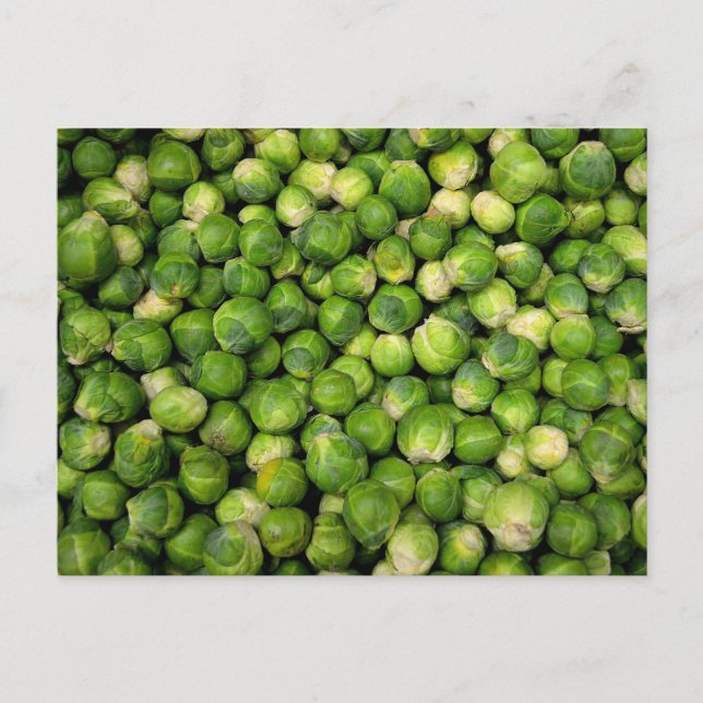 Brussels sprouts postcard (Front)
