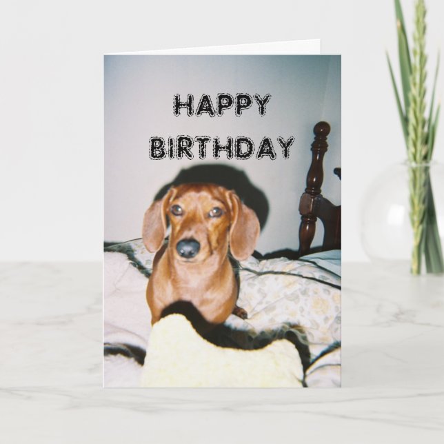 Brutus 3, HAPPY BIRTHDAY Card (Front)