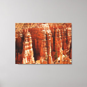 Bryce Canyon Canvas Print