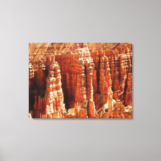 Bryce Canyon Canvas Print (Front)