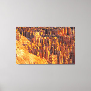Bryce Canyon Hoodoos Canvas Print