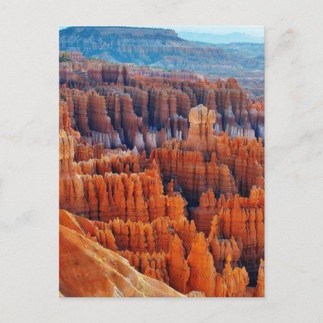 Bryce Canyon Hoodoos Postcard (Front)
