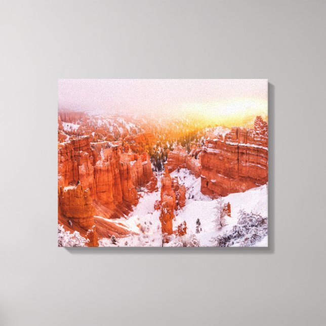 Bryce Canyon National Park Canvas Print (Front)