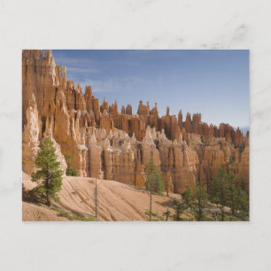 Bryce Canyon National Park Postcard