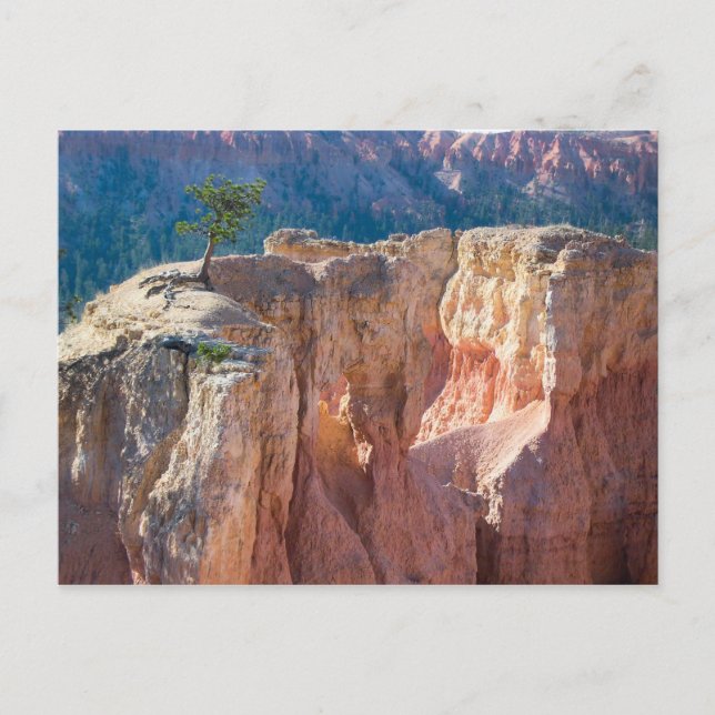Bryce Canyon National Park Postcard (Front)
