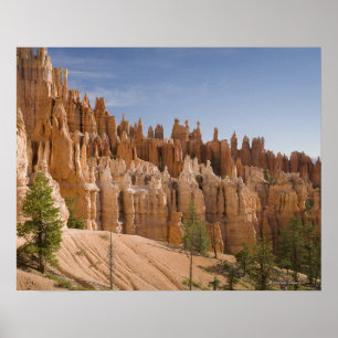 Bryce Canyon National Park Poster