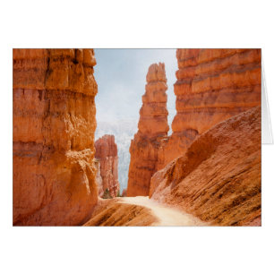 Bryce Canyon National Park Trail