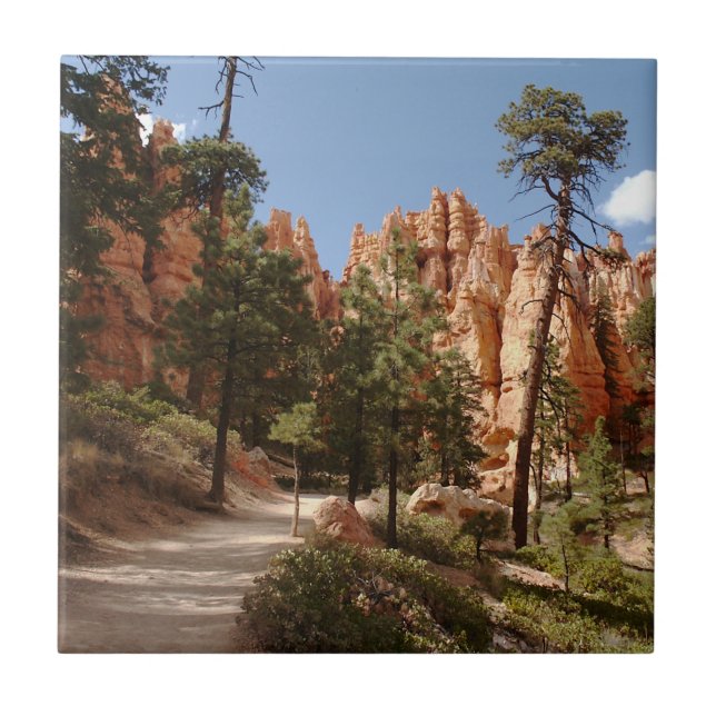 Bryce Canyon National Park Trail Tile (Front)