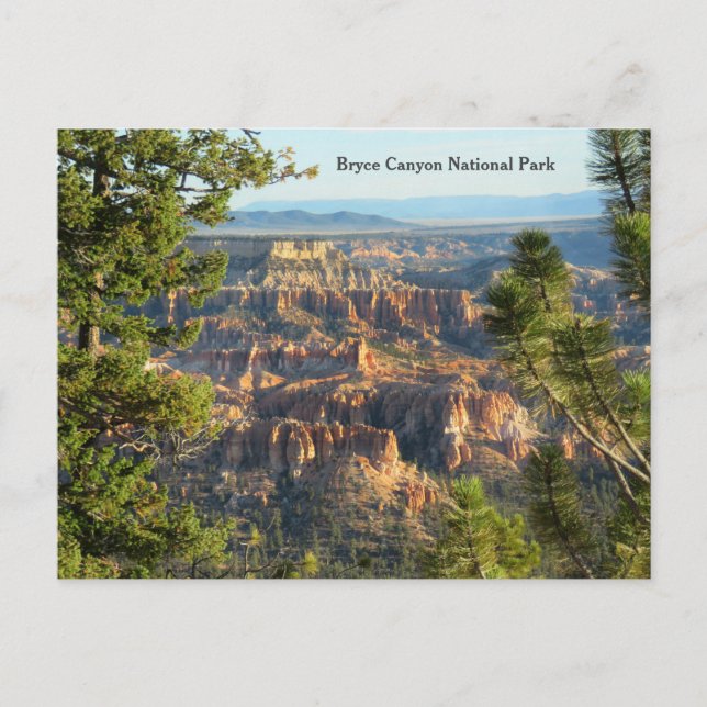 Bryce Canyon National Park, Utah Postcard (Front)