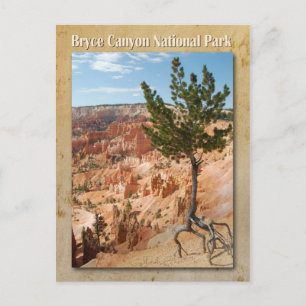 Bryce Canyon National Park, Utah Postcard