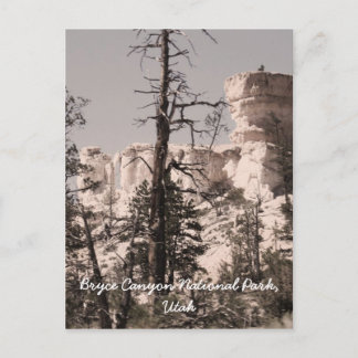 Bryce Canyon National Park, Utah Postcard