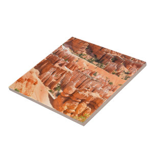Bryce Canyon Park Utah Landscape Hoodoos Photo Tile