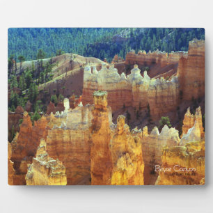 Bryce Canyon Plaque