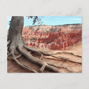 Bryce Canyon Postcard